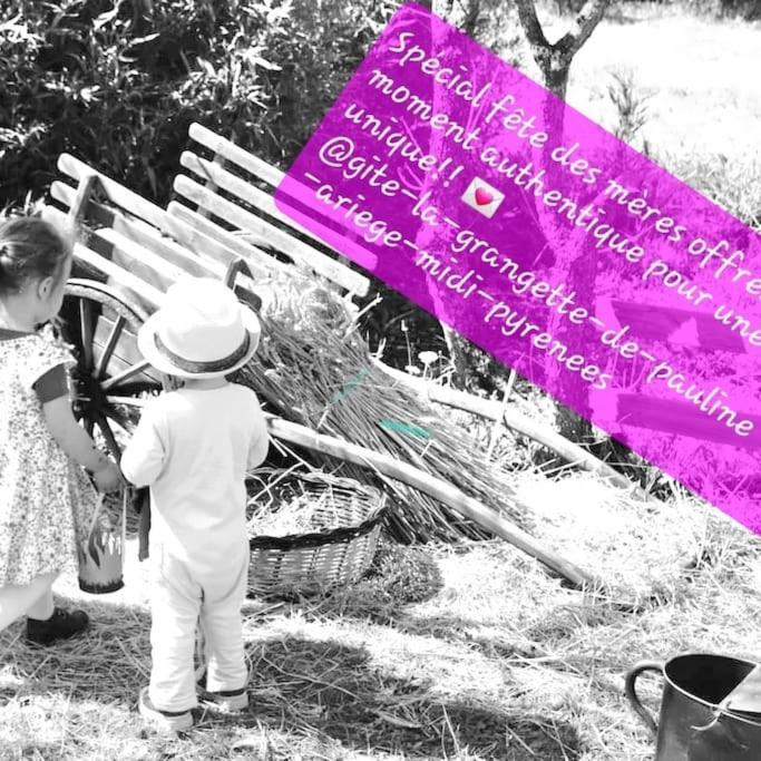 Gite La Grangette De Pauline Mercus-Garrabet Kültér fotó