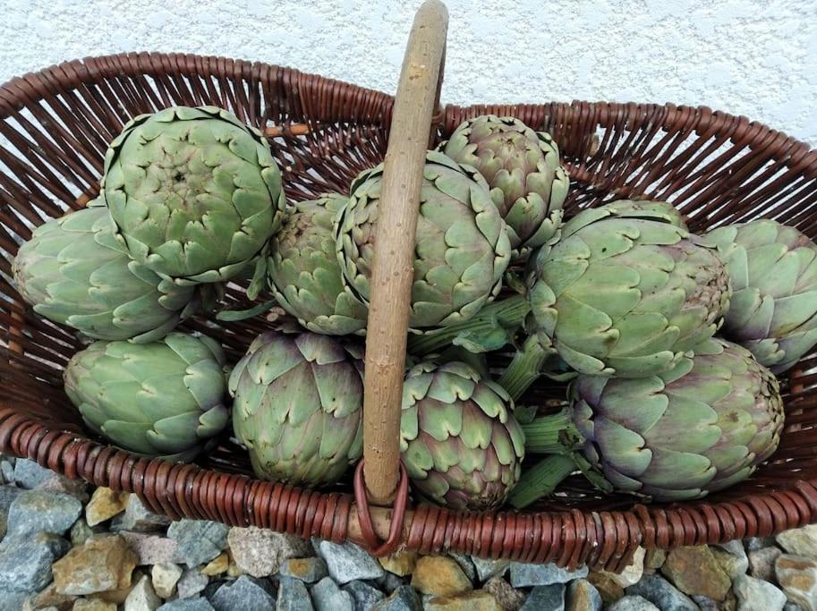 Gite La Grangette De Pauline Mercus-Garrabet Kültér fotó